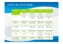 [거시조직론] 제8장 조직규모, 조직수명주기와 조직쇠퇴-13