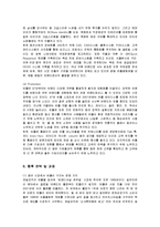 [마케팅] 빈폴(Bean Pole)의 마케팅 전략 분석-9