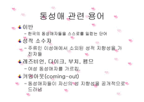 동성애의 사회적 시각에 설문조사 분석 및 견해-5