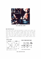 [광고와 인간심리] 광고가 기업에 미치는영향과 성공적인 광고요건-7