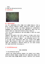 [미생물실험] Hooker`s 변법에 의한 그람염색법-3