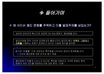[사이버문화] 인터넷폐인문화-3