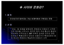 [사이버문화] 인터넷폐인문화-4