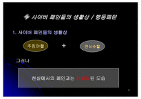 [사이버문화] 인터넷폐인문화-10