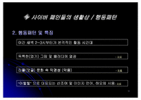 [사이버문화] 인터넷폐인문화-11