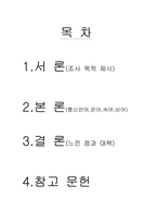 [언어학] 통신언어, 비어, 속어-2