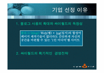 [전략경영] 싸이월드 경영전략 분석-5