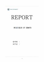 [경영전략] 현대자동차 EF SONATA(소나타) 분석-15