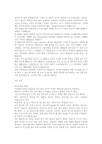 [인도문화] 인도의 문화-8