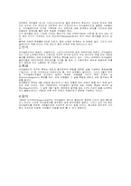 [세계문화] 아이슬랜드문화-2