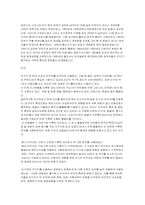 [세계문화] 터키문화에 대해서-8