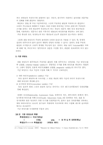 [사회복지조사방법] 타당도와 신뢰도 측정-5