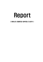[경영학]레바논의 분쟁원인과 향후전망 조사분석-1