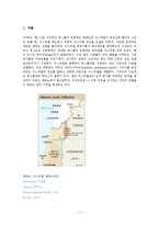 [경영학]레바논의 분쟁원인과 향후전망 조사분석-2