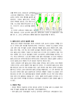 (경영학]팔레스타인 난민에 관한 총체적 조사분석)-6