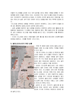 (경영학]팔레스타인 난민에 관한 총체적 조사분석)-7