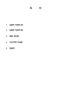 [경영학] 남북한의 지정학적 위치와 특징 및 대외적 환경 분석-2