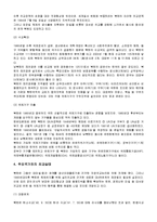 [경영학] 남북한의 지정학적 위치와 특징 및 대외적 환경 분석-10