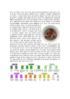 차문화 레포트-4