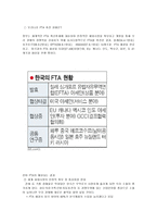 [국제경영] 한국의 자유무역협정의 장단점과 그에따른 방안(유럽과 칠레를 중심으로)-5