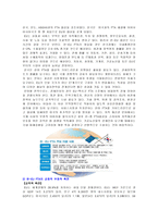 [국제경영] 한국의 자유무역협정의 장단점과 그에따른 방안(유럽과 칠레를 중심으로)-16