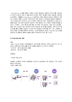 [서비스경영] 월마트를 중심으로 바라본 물류시스템 사례-9