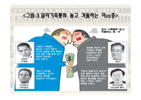 [국제금융] 기축통화에 관한 연구-13