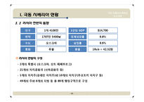 [국제경제관계] 극동 시베리아 개발과 한국경제-4