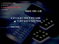 [경영정보] e비즈니스 시스템 구축 사례-13