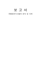 [유통관리] 유통정보시스템의 분석 및 사례-1