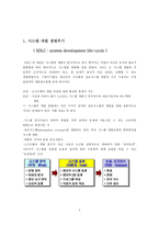 [경영정보] e비즈니스 시스템 구축 사례-3