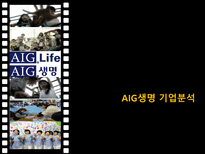 [금융기관경영론] AIG생명 기업분석-1