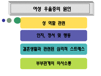 [여성복지론] 여성우울증에 관한 연구-10