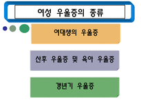 [여성복지론] 여성우울증에 관한 연구-12