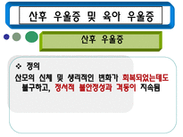 [여성복지론] 여성우울증에 관한 연구-18