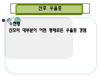 [여성복지론] 여성우울증에 관한 연구-19