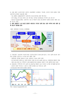 [외환론] 미 금융위기의 실태와 향방-17