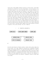 [중국근대경제사] 개발도상국의 성장전략에서 국가개입의 성격과 역할 비교-11