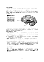 [노인복지특론] 기억과 망각-3