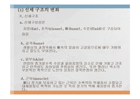 [노인복지론] 노인문제에 대한 이론적 관점-16
