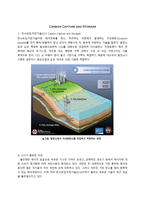 [환경과삶] 지구온난화의 주범인 블랙카본과 탄소포집의 저장기술-9