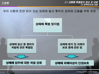 [사회정책론] 성매매 특별법(법의내용과 문제를 중심으로)-6