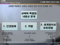 [사회정책론] 성매매 특별법(법의내용과 문제를 중심으로)-10