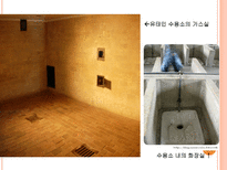 미국 내 유대인의 영향력과 재미한인 단체에주는 시사점-11