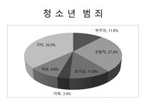 [사회문제론] 범죄문제에 관한 연구-6