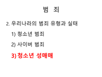 [사회문제론] 범죄문제에 관한 연구-12