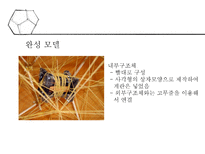 계란낙하 레포트-17
