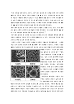 [재료공학]분쇄 및 팽창 열처리 실험-6