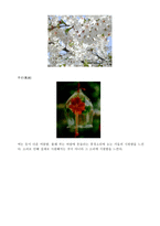 [일본문화]일본-6