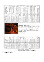 [식습관과생활]나의 식사일지 작성-11